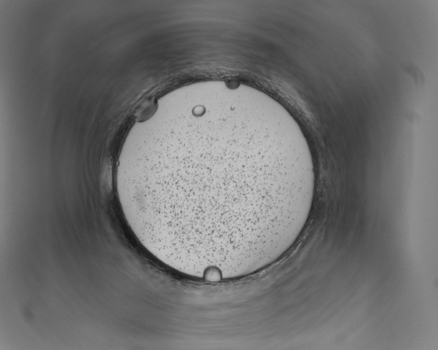 X0000111000021200907101501