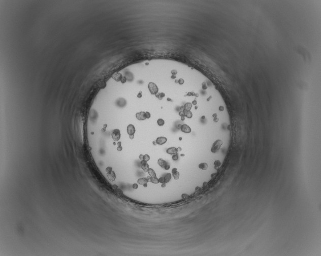 X0000111000022200907101501