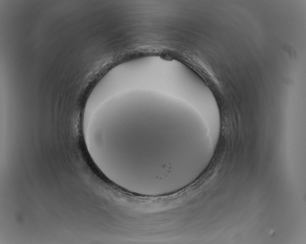 X0000111000023200907101501