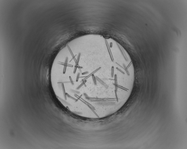 X0000111000024200907101501