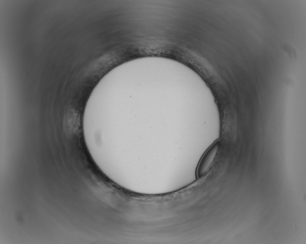 X0000111000025200907101501