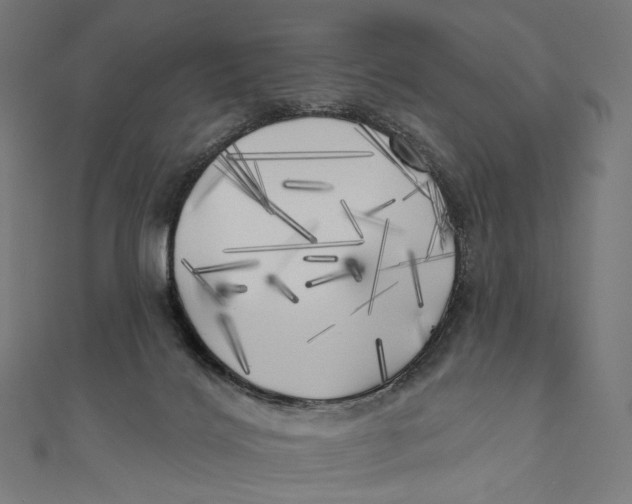 X0000111000028200907101501