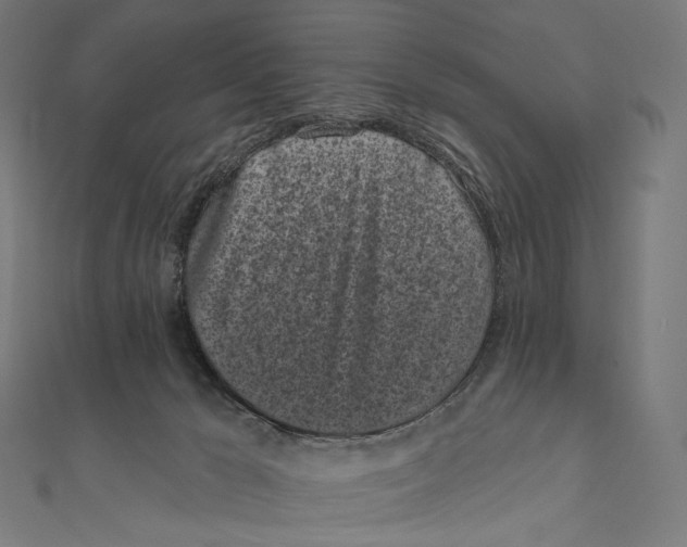 X0000111000029200907101501