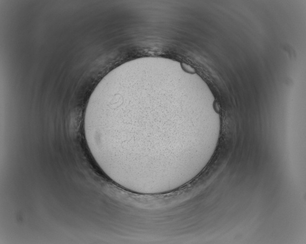 X0000111000030200907101501