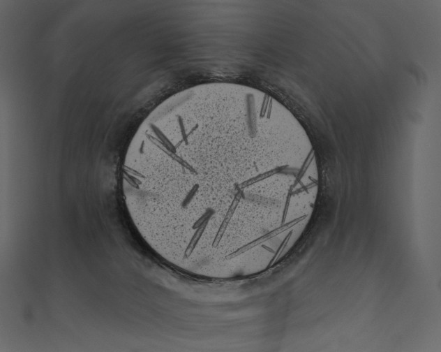 X0000111000032200907101501