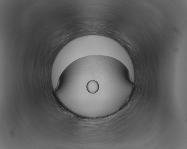 X0000111000033200907101501