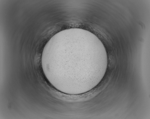 X0000111000034200907101501