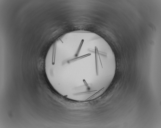 X0000111000036200907101501