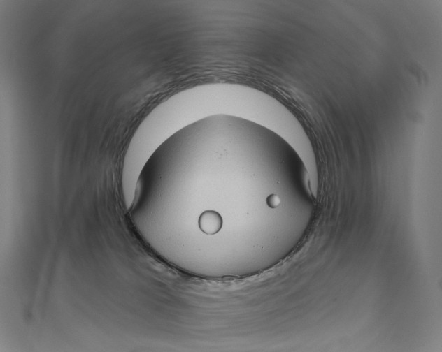 X0000111000037200907101501