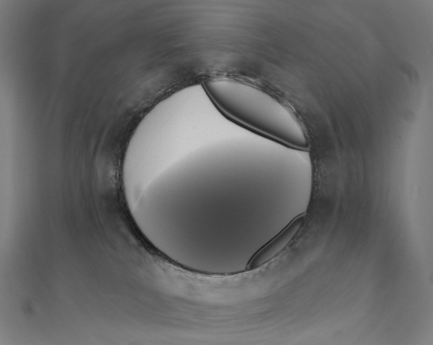 X0000111000039200907101501