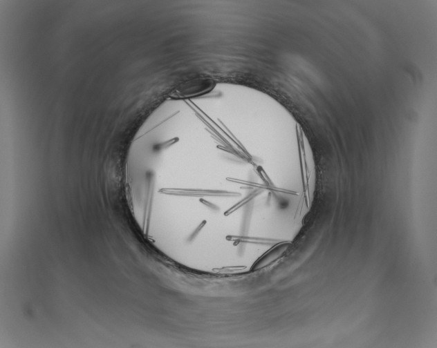 X0000111000040200907101501