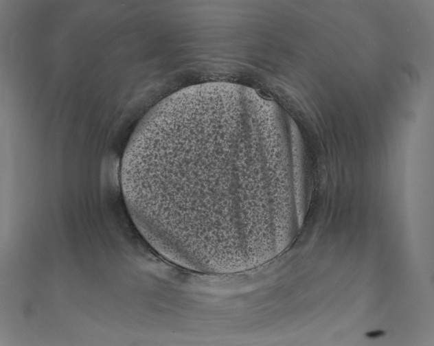 X0000111000041200907101501