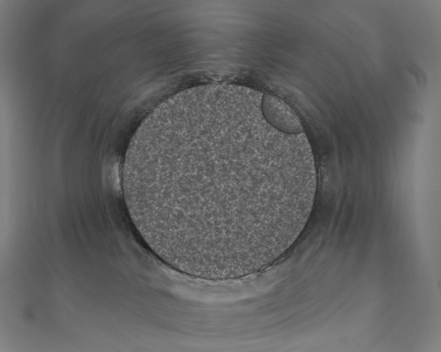 X0000111000042200907101501