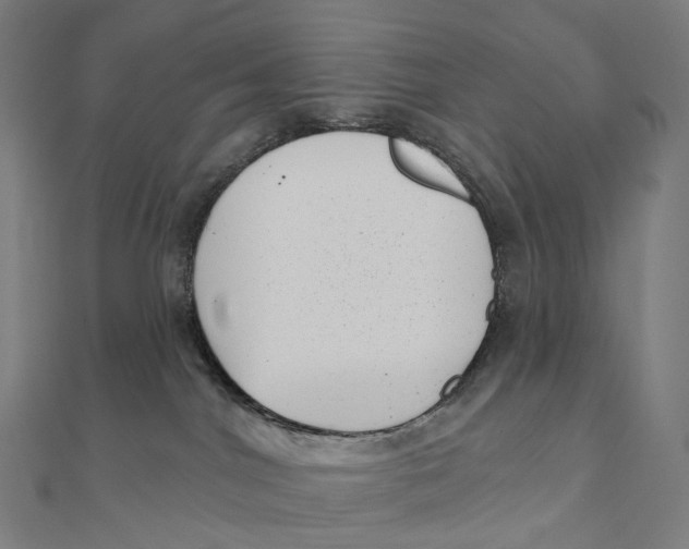 X0000111000044200907101501