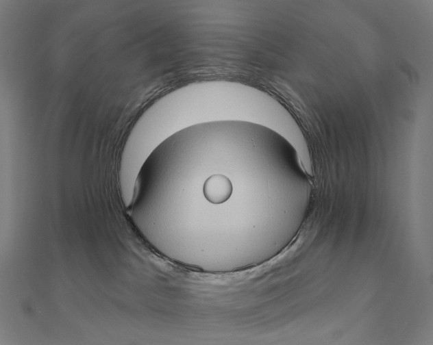 X0000111000045200907101501