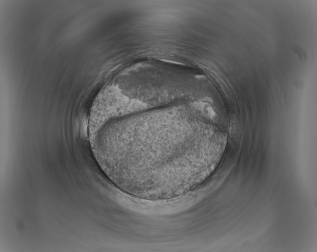 X0000111000046200907101501