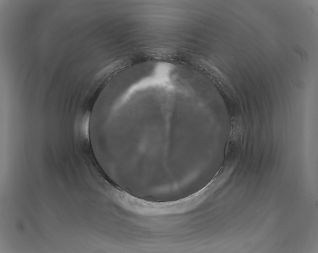 X0000111000047200907101501