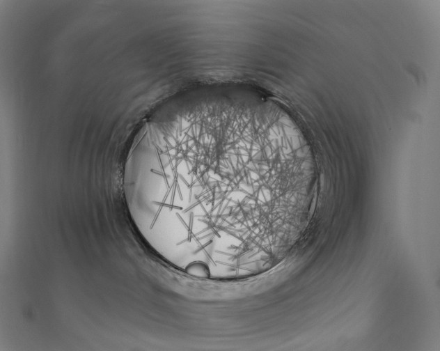 X0000111000048200907101501