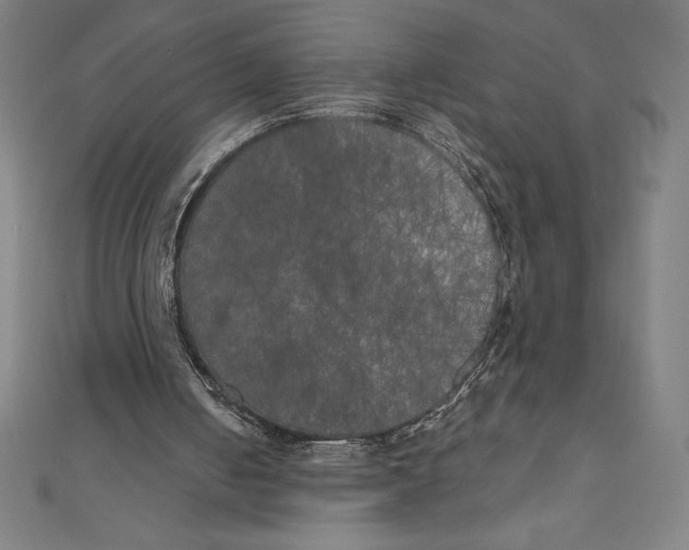 X0000111000050200907101501