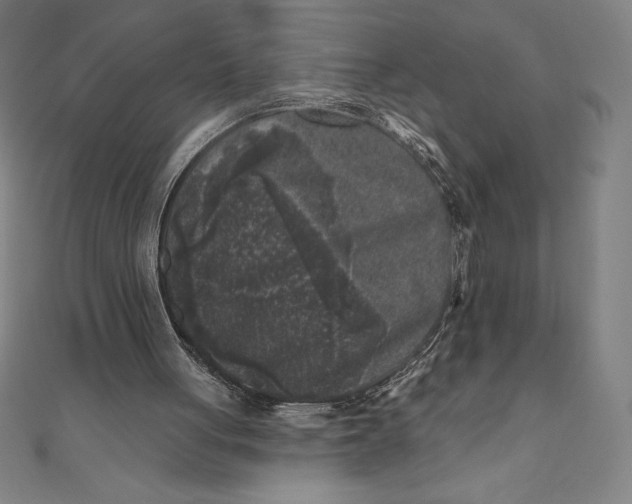 X0000111000051200907101501