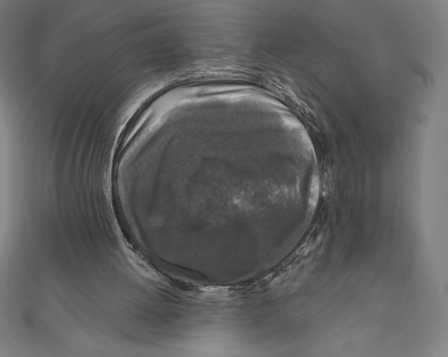 X0000111000052200907101501