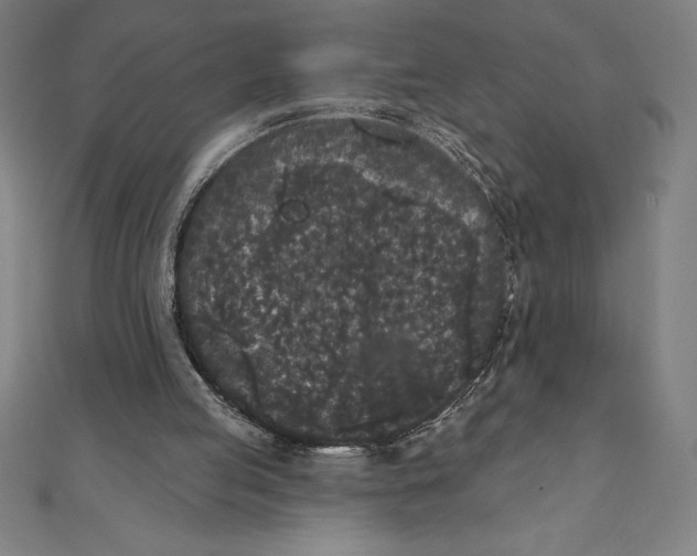 X0000111000053200907101501