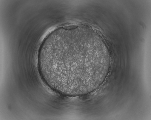 X0000111000054200907101501