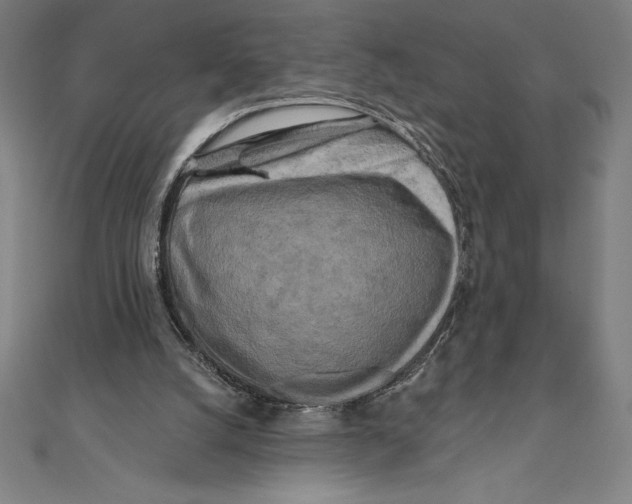 X0000111000056200907101501