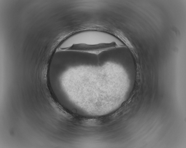 X0000111000058200907101501