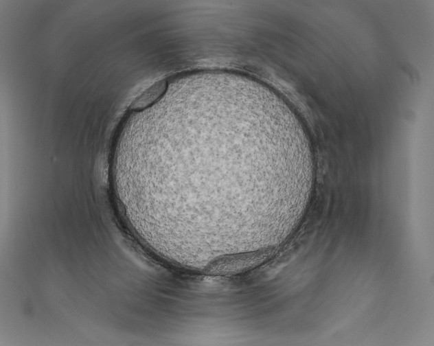 X0000111000060200907101501