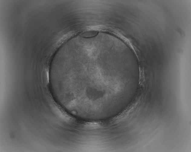 X0000111000061200907101501