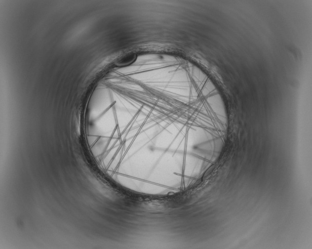 X0000111000062200907101501