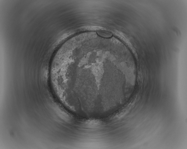 X0000111000063200907101501