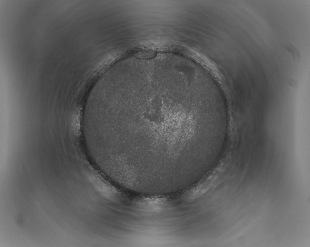 X0000111000065200907101501