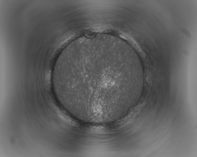 X0000111000066200907101501