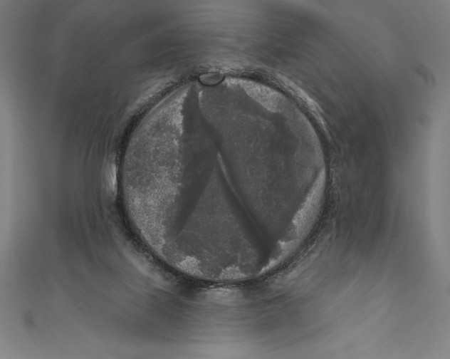 X0000111000067200907101501