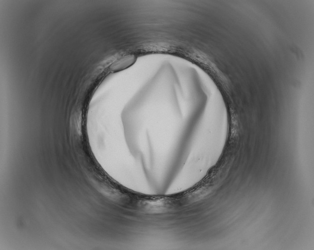 X0000111000068200907101501