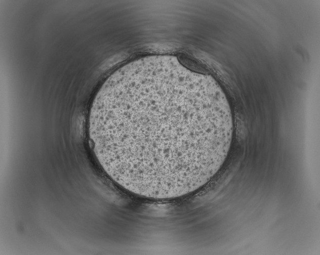 X0000111000071200907101501