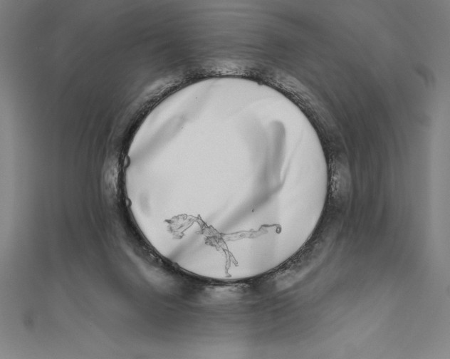 X0000111000072200907101501