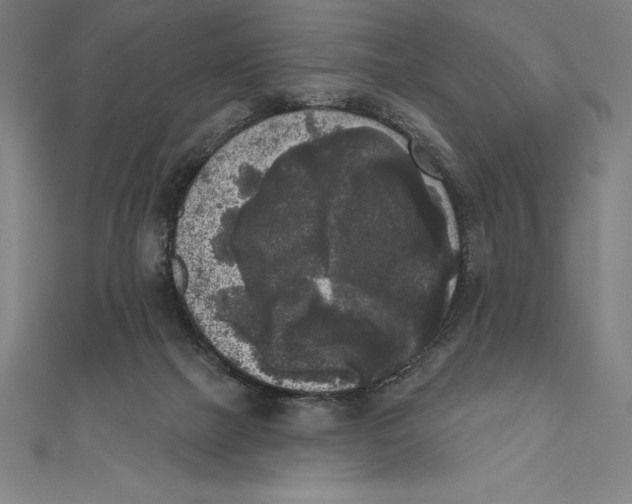 X0000111000073200907101501