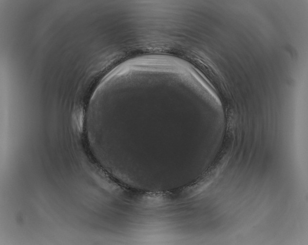 X0000111000076200907101501