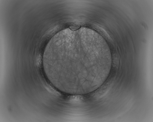 X0000111000077200907101501