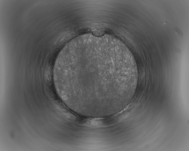 X0000111000078200907101501