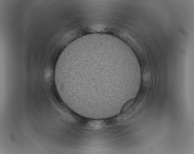 X0000111000079200907101501