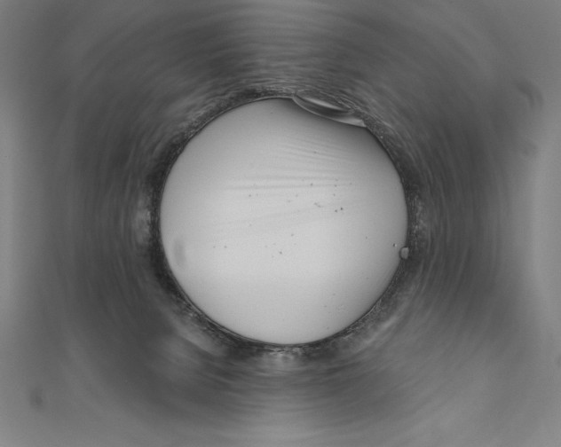 X0000111000080200907101501