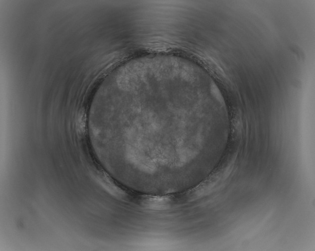 X0000111000081200907101501