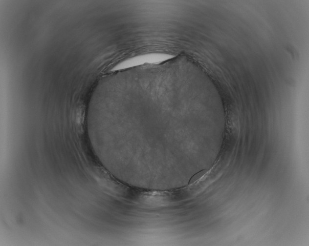 X0000111000082200907101501