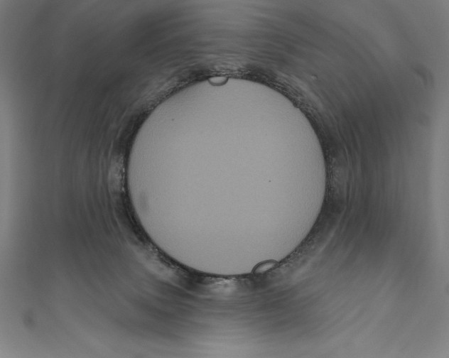 X0000111000083200907101501