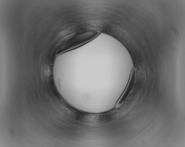 X0000111000084200907101501