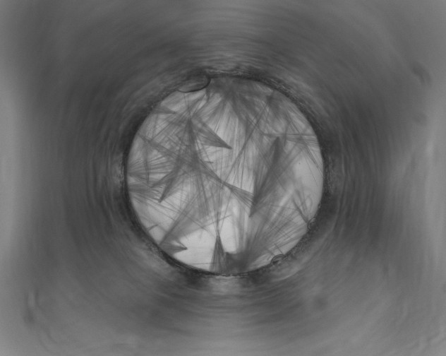 X0000111000085200907101501